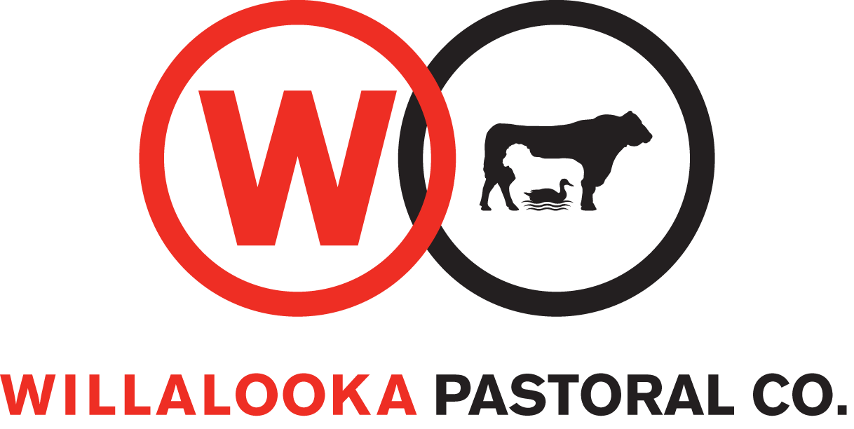 Willalooka Pastoral Co